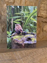 Load image into Gallery viewer, Cotswolds Cards &quot;Nailsworth&quot; greetings card