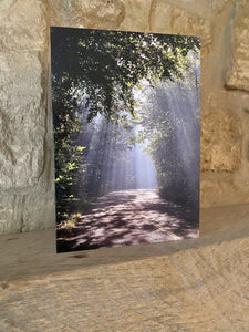 Cotswolds Cards "Rodborough, Butterrow hill" greetings card