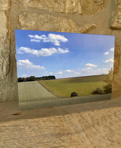 Cotswolds Cards "Swell" greetings card 