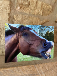 Cotswolds Cards "Horse Stonehouse" greetings card