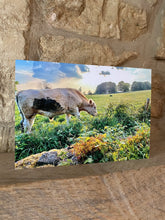 Load image into Gallery viewer, Cotswolds Cards &quot;Cow on Michinhampton common&quot; greetings card