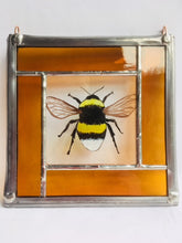 Load image into Gallery viewer, LIz Dart Stained Glass bee panel Stroud