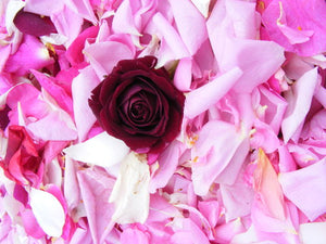 Rose Beauty Mist, Saskia Flower Essences